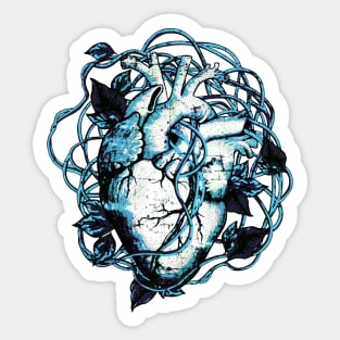 Blue, Human heart and climbing plant, nature and garden lovers, Anatomy illustration art Sticker